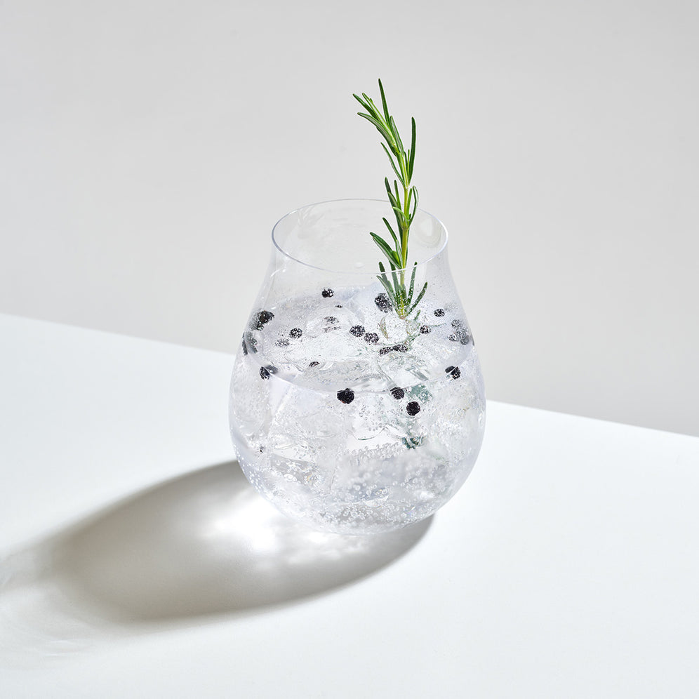 Gin and Tonic Cocktail