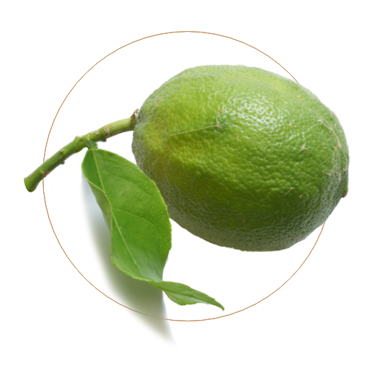 lime ingredient in non-alcoholic spirit